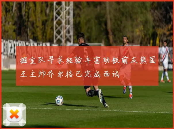 掘金队寻求经验丰富助教前灰熊国王主帅乔尔格已完成面试