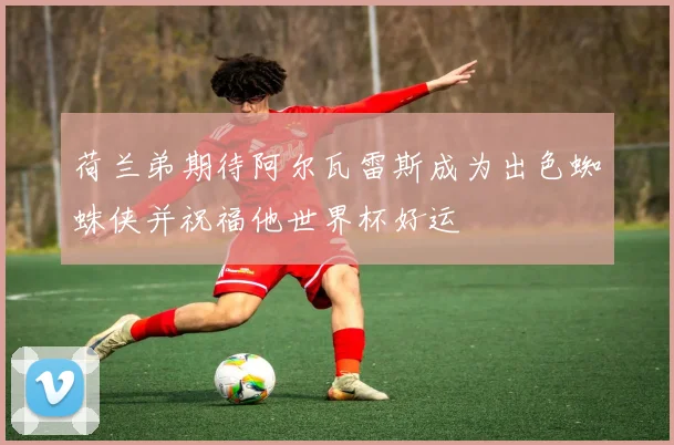 荷兰弟期待阿尔瓦雷斯成为出色蜘蛛侠并祝福他世界杯好运