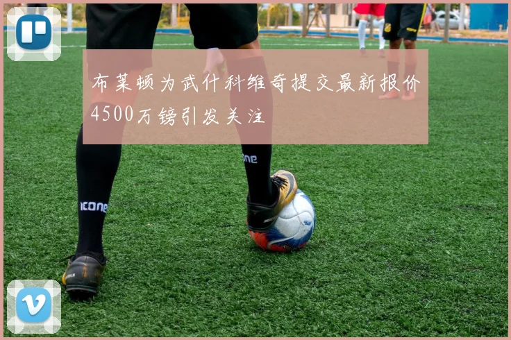 布莱顿为武什科维奇提交最新报价4500万镑引发关注